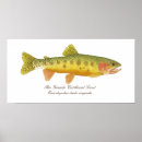 Buscar río grande Pesca