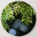 Buscar aguja chapas General y unisex