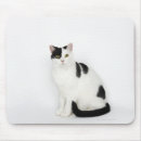 Buscar gato blanco y negro alfombrillas de raton Animal