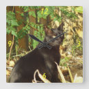Buscar gato negro relojes de pared Gatos