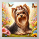 Buscar terrieres de yorkshire posters Yorkie