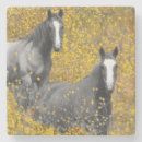 Buscar caballo posavasos Animal