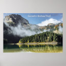 Buscar garras posters General y unisex