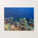 Buscar mar de coral puzzles Océano