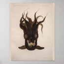 Buscar vampiro posters Negro