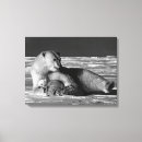 Buscar oso polar lienzos Alaska