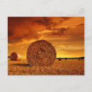Buscar tierras de labrantío Agricultura