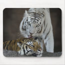 Buscar tigre blanco alfombrillas de raton Fauna