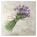 Buscar tulipanes azulejos Para todos