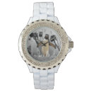 Buscar pingüino relojes Pájaros