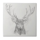 Buscar occidental azulejos Animal