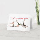 Buscar pilates tarjetas Yoga