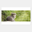 Buscar sexualidad postales General y unisex