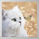 Buscar mariposas blancas posters General y unisex