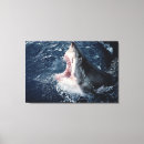 Buscar tiburones lienzos Animal