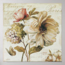 Buscar rose posters Flor