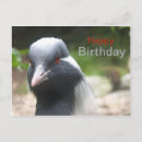Buscar lindo tarjetas de cumpleaños General y unisex