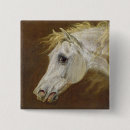 Buscar cabeza de caballo chapas Caballos