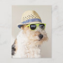 Buscar fox terrier postales Cachorro