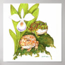 Buscar ranas posters General y unisex