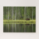 Buscar de finlandia puzzles Lago