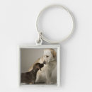 Buscar cintura llaveros Humor