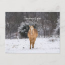 Buscar caballos rubios postales Para todos