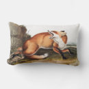 Buscar dibujo del zorro cojines 6 º zorra