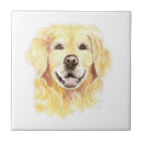 Buscar golden retriever azulejos Acuarela
