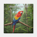 Buscar macaw imanes Machacar
