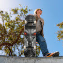 Buscar épico tablas de skate Retro