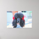 Buscar día del caniche decoracion General y unisex
