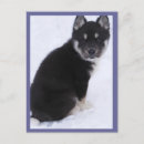 Buscar huskie postales Cachorros