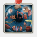 Buscar oficina adornos Pequeña empresa