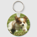 Buscar papillon llaveros Perro