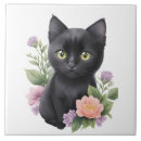 Buscar gato negro azulejos Caprichoso