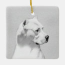 Buscar argentinos adornos Para todos