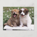 Buscar bostezo postales Exterior