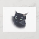 Buscar cara del gato postales General y unisex