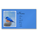 Buscar bluebird tarjetas de visita Pájaro azul