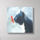 Buscar niebla flor Animales
