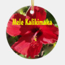Buscar flores de hawaii adornos Hibisco