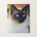 Buscar ojos grandes puzzles Gatito