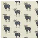 Buscar de ovejas telas 6 º oveja