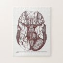Buscar anatomía puzzles Medicina
