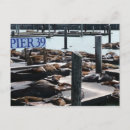 Buscar muelle postales Ciudad