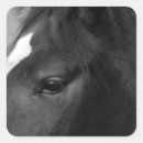 Buscar caballo negro manualidades Equino