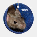 Buscar rata linda adornos Ratón