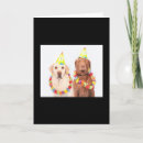 Buscar perros para la venta tarjetas Divertido