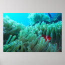 Buscar equipo de submarinismo posters El zambullirse